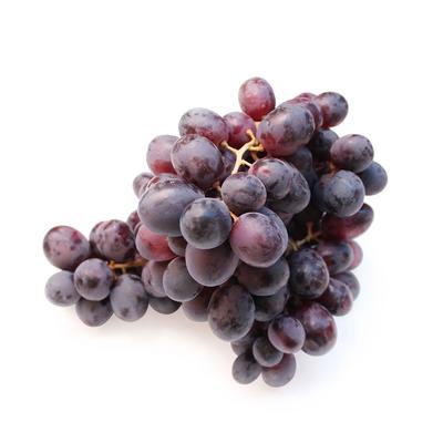thumb-Anggur Hitam