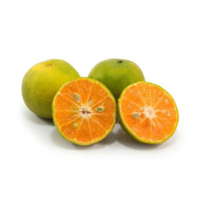 thumb-Jeruk Peras