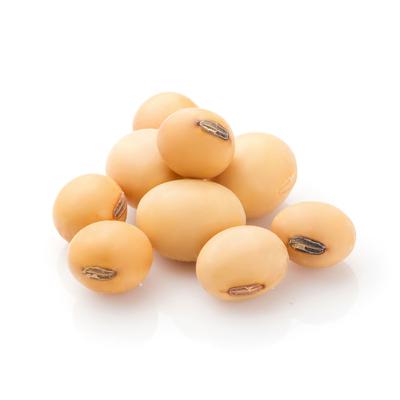 thumb-Kacang Kedelai