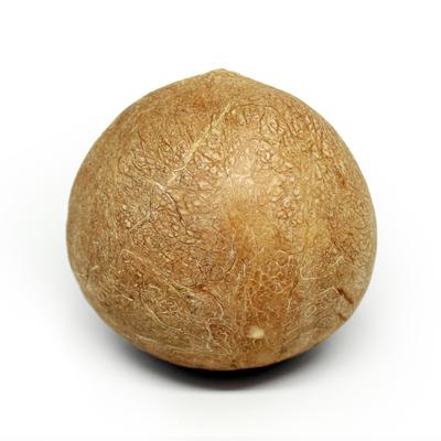 thumb-Kelapa Batok Utuh