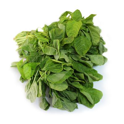 thumb-Bayam Hijau