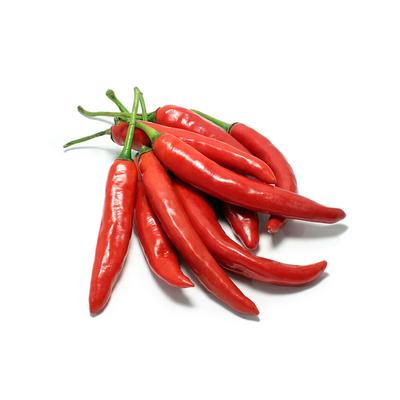 thumb-Cabai Merah Besar