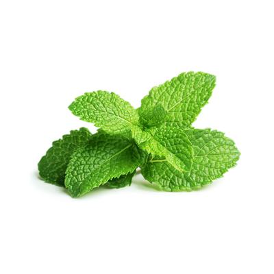 thumb-Daun Mint