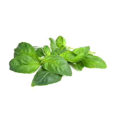 thumb-Daun Basil