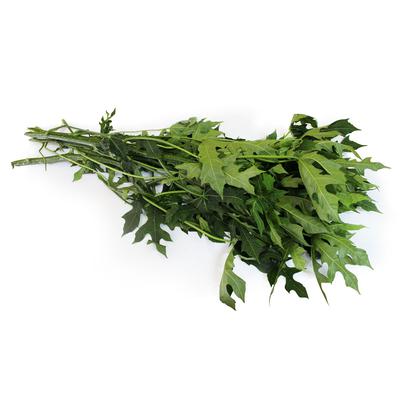 thumb-Daun Pepaya