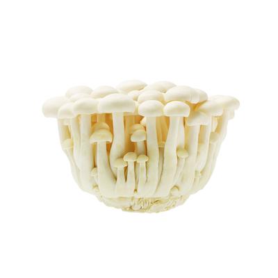 thumb-Jamur Shimeji Putih (150 gram)