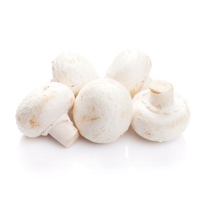 thumb-Jamur Kancing (Jamur Champignon)