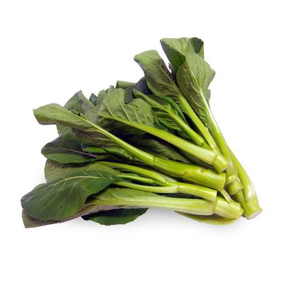 thumb-Kailan Reguler