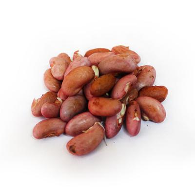 thumb-Kacang Merah (Kupas)