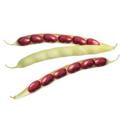 thumb-Kacang Merah (Tidak Kupas)