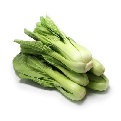 thumb-Pakcoy/Bakcoy Reguler