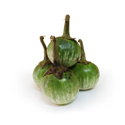 thumb-Terong Bulat Hijau