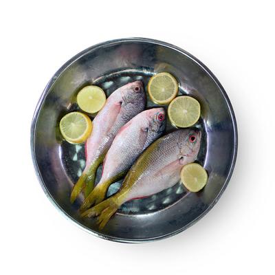 thumb-Ikan Ekor Kuning