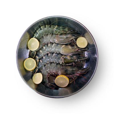 thumb-Udang Super Besar/Pacet  (15-17 Ekor/Kg)