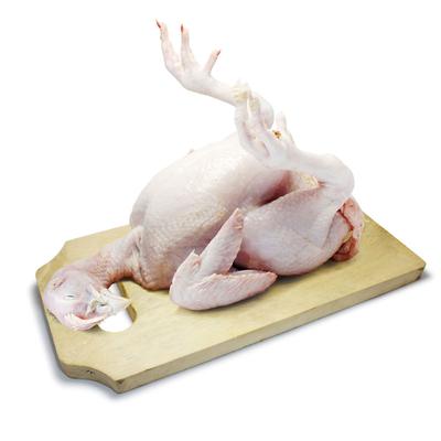 thumb-Daging Ayam Kampung Besar (800-1200 Gram)