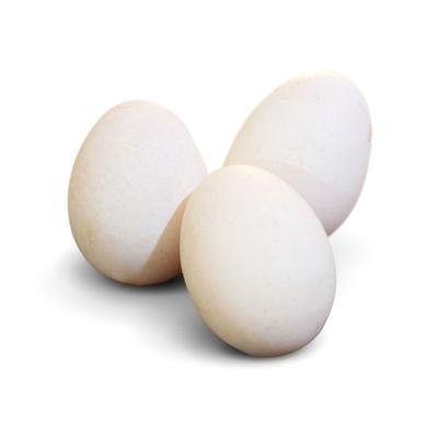 thumb-Telur Ayam Kampung