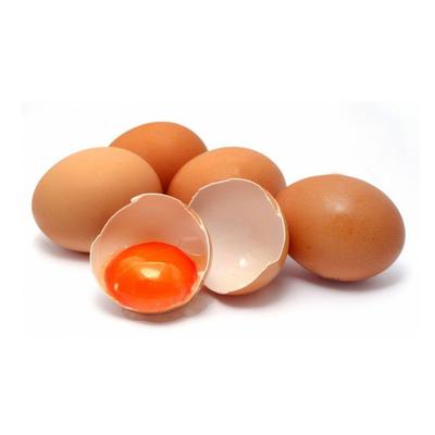 thumb-Telur Omega (isi 10 butir)